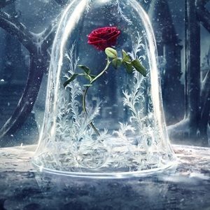 Meet your Posher, Shawn